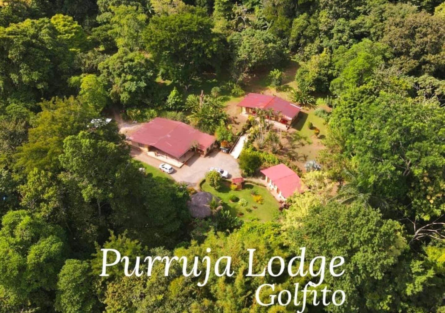 La Purruja Lodge 골피토 외부 사진