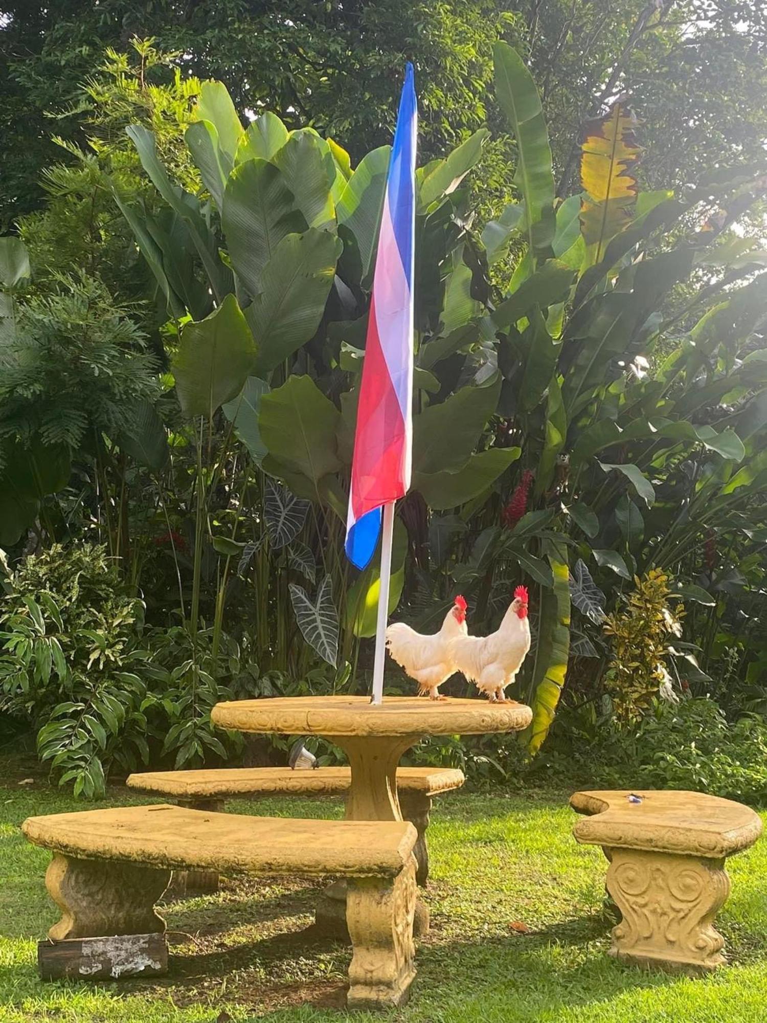 La Purruja Lodge 골피토 외부 사진