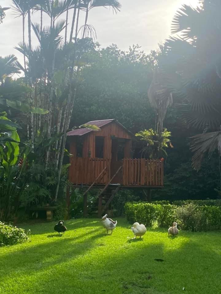 La Purruja Lodge 골피토 외부 사진
